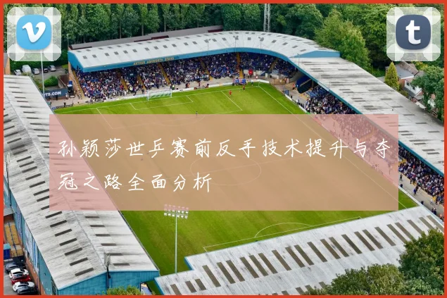 孙颖莎世乒赛前反手技术提升与夺冠之路全面分析